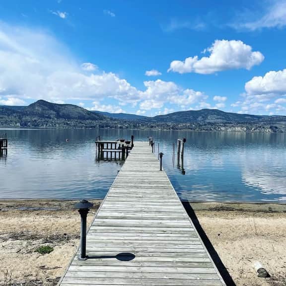 Stunning Lakefront Cabin in Heart of Naramata Village - Image 5